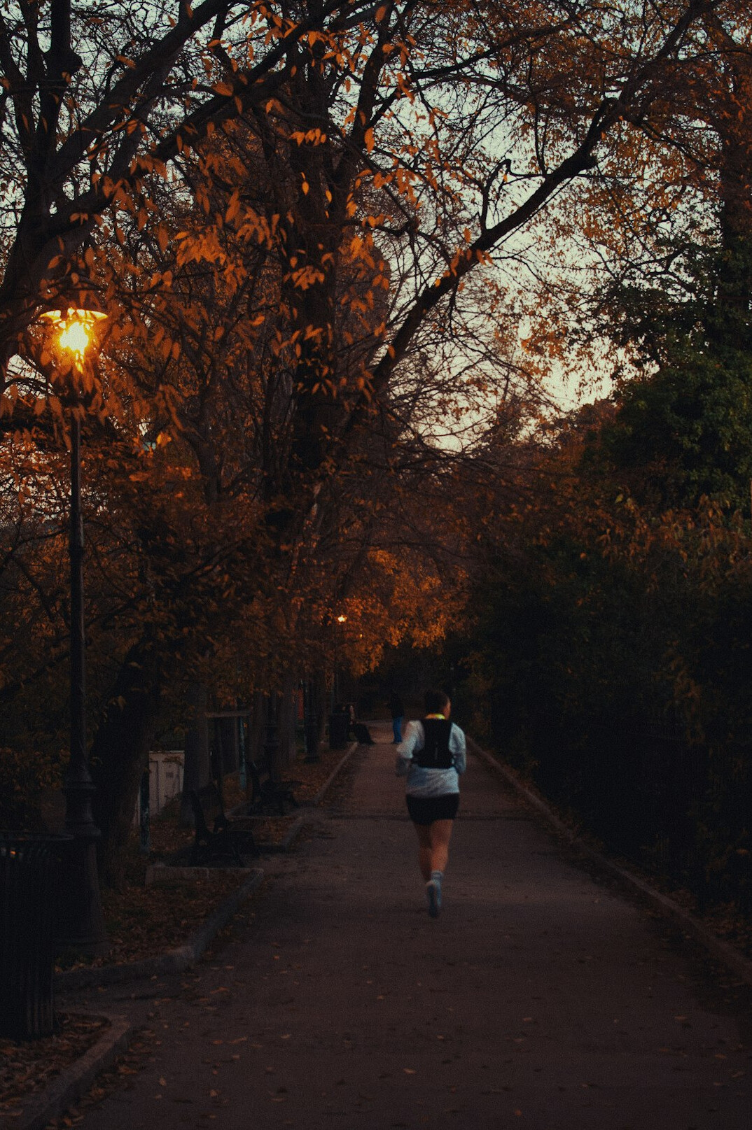 person jogging in nature